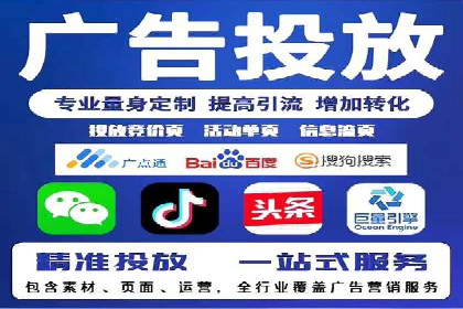 竞价广告与自然搜索的结合策略：XX网站的案例分析